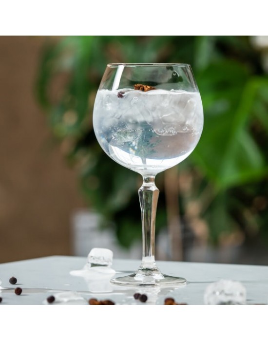 Spksy Gin Tonic чаша 585ml - Onis