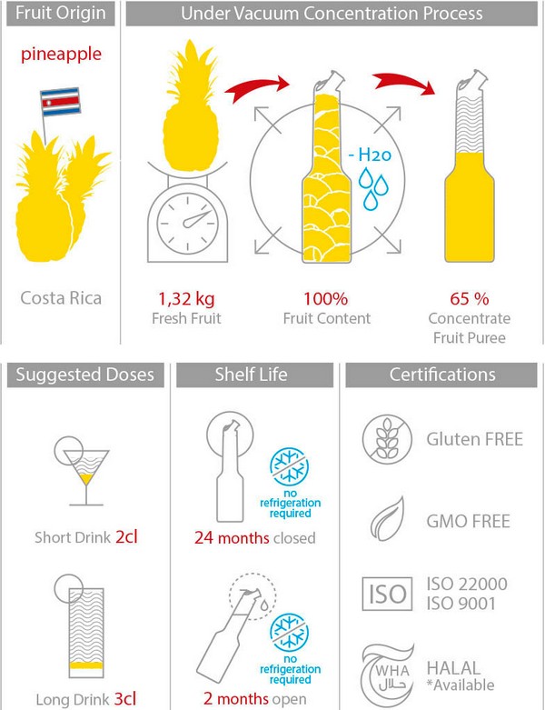 Mixer Пюре Ананас 1L Tropical Fruit Puree Pineapple