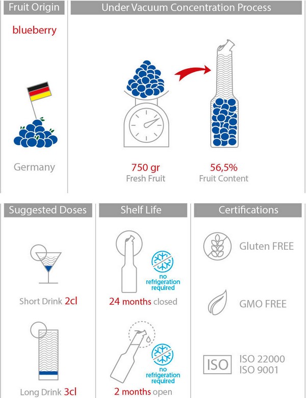Mixer Пюре Синя Боровинка 1L Red Fruit Puree Blueberry