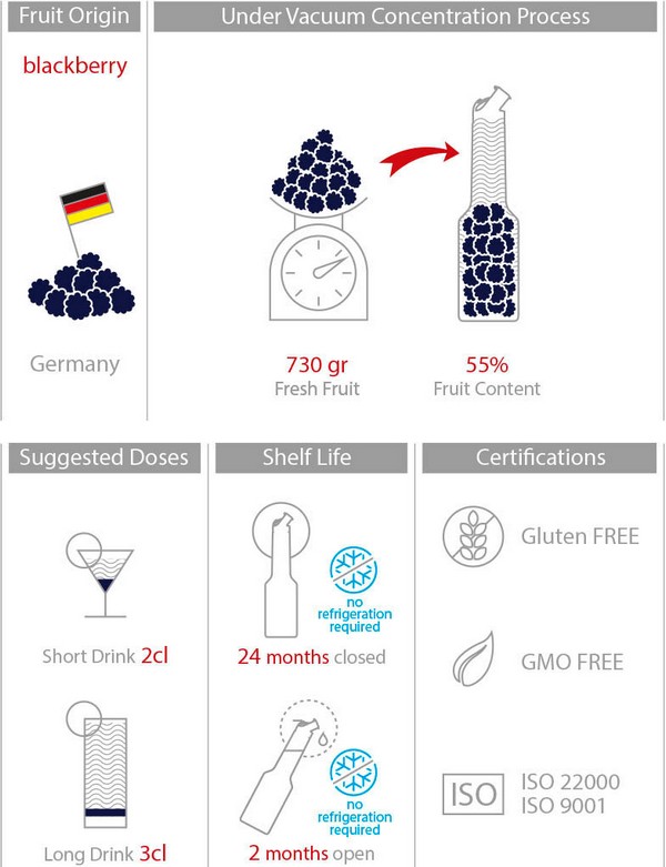 Mixer Пюре Къпина 1L Red Fruit Puree Blackberry