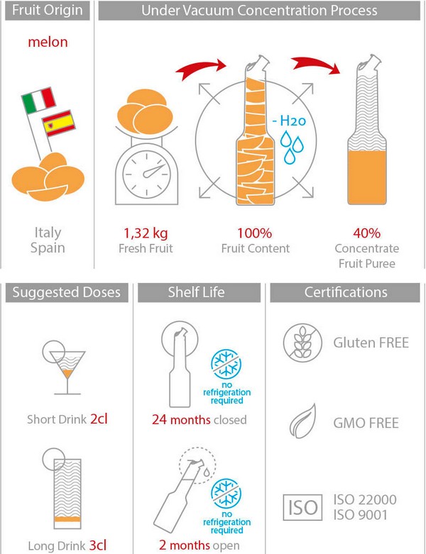 Mixer Пюре Пъпеш 1L Summer Fruit Puree Melon