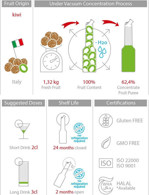 Mixer Пюре Киви 1L Italian Fruit Puree Kiwi