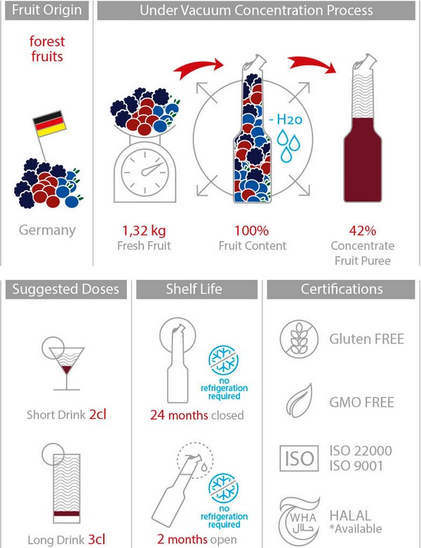 Mixer пюре Горски плодове 1L Forest Fruits